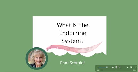 What Is The Endocrine System - Plastic and Endocrine Pt 1