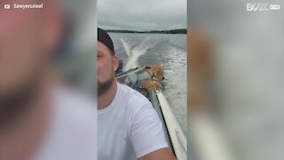 Dog has great fun on first boat trip