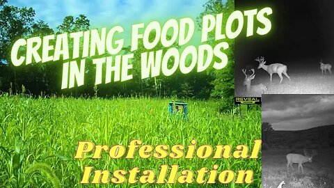 Creating Food Plots in Cut - over Forest
