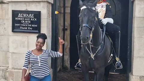 Some of the funniest moment at horse guards #horseguardsparade