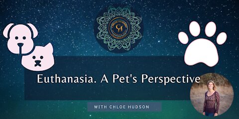 Euthanasia. A Pet's Perspective - #WorldPeaceProjects