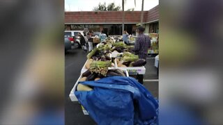 Food pantry in jeopardy in West Palm Beach