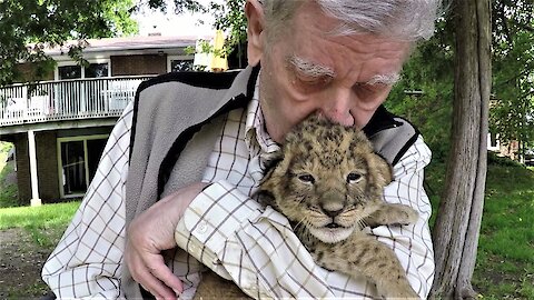 Hero war veteran cuddles with a baby lion cub