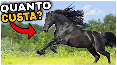 TOP 5 CAVALOS MAIS CARO DO MUDO