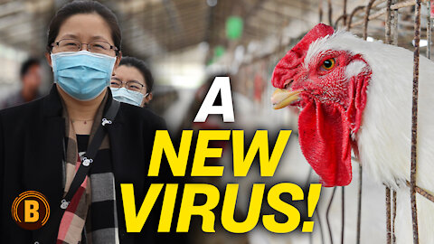 CCP Downplays New Virus H10N3- A 2020 Repeat?; Draconian Lockdowns Don't Work In US: Job Loss