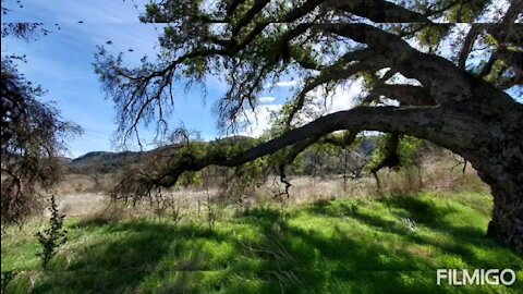 Hill Canyon Trail