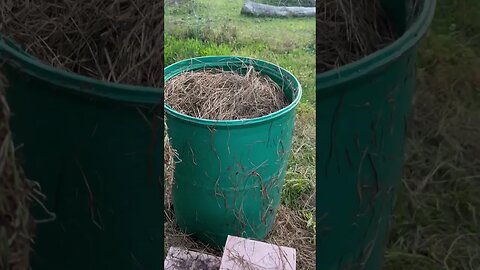 Making a fast compost pile