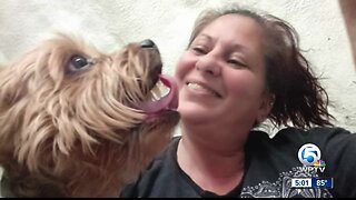 Humane Society volunteer died from severe blood loss due to dog bites, medical examiner says
