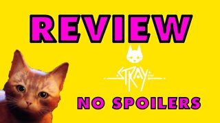 - Stray Review -