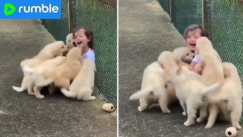 FUNNY VIDEO 😂🤣Puppies and Cute Baby - Adorable and Heartwarming!"