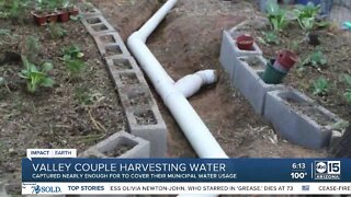 Valley couple harvesting water