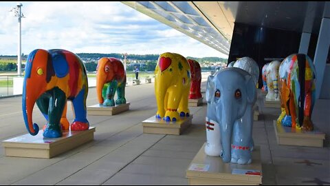 Elephant Sculptures Exhibition at Zurich Feautiful video