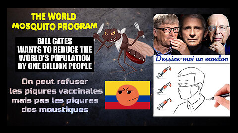 THE WORLD MOSQUITO PROGRAM avec Bill Gates ... Ce pourrait être une vraie tuerie selon certains experts (Hd 720)