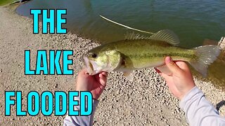 Finding Bass After a MASSIVE Flood