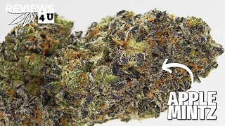 Apple Mintz 🍎(AAA+) Review | THC REVIEWS 4 U