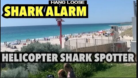 SHARK SIGHTED ON AUSTRALIAN BEACH | 5 METRE SHARK