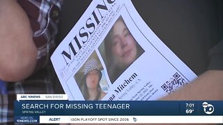 Help sought in locating missing 15-year-old Spring Valley girl