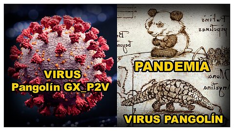 LA RIVISTA D'OCCULTURA MASSONICA THE ECONOMIST ANNUNCIò SU THE WORLD IN 2019 IL CEPPO PANGOLIN GX P2V DI COVID DEL 2024 Il coronavirus pangolino fatto in lab correlato al SARS-CoV-2 GX_P2V può causare una mortalità del 100% nei topi
