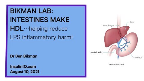 Dr Bikman's Lab 3: INTESTINES MAKE HDL...helping reduce LPS inflammatory harm to your body!