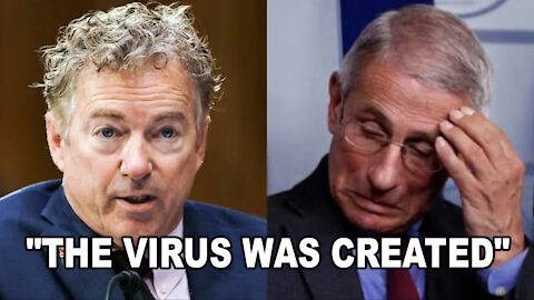 THE VIRUS WAS CREATED - Rand Paul Questions Anthony Fauci In Congress