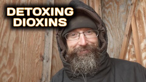 Detoxing Dioxins
