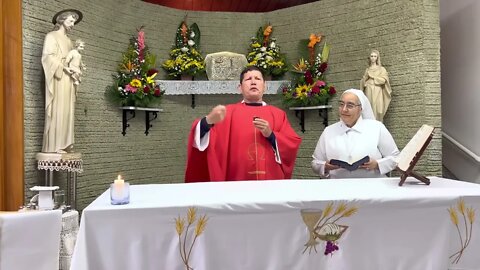 ¿A qué debemos morir para dar frutos? Padre Luis Toro.