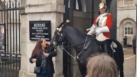 The horse was trying to bring her attention to the sign #horseguardsparade