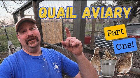 Building My Daughter a Quail Aviary | Part 1