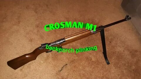 Crosman M1 *backporch plinking