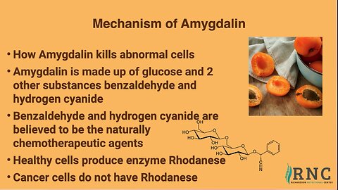 John Richardson | “The Mechanism Of Amygdalin Is Basically A Natural Cancer Killer”