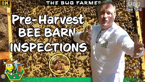 Pre-Harvest Bee Barn Inspection | Inspecting all bee barns before next weeks harvest #beekeeping #8K