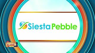 Siesta Pebble: Breathing New Life Into Your Backyard Aquatics