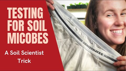 TESTING FOR SOIL MICROBES WITHOUT A MICROSCOPE | Gardening in Canada