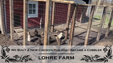We Built A New Chicken Run, and I Became a Cobbler
