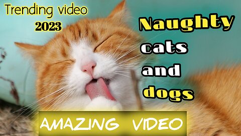 🔥Most Trending Animal Videos - Funniest Cats and Dogs 2023 🐹🐹I Pets Island🐶🐶