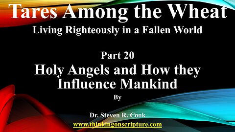 Tares Among the Wheat - Part 20 - Holy Angels and How they Influence Mankind