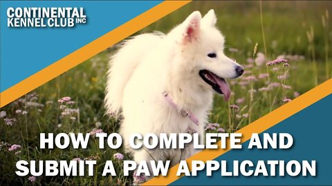 How to Complete and Submit a PAW Application
