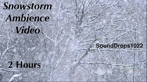 2-Hour Snowy Dreamland: Nature Sounds