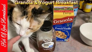 Yogurt & Granola Breakfast