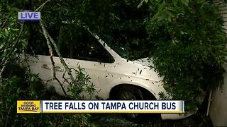 Storm snaps aging oak in half, tree crashes on top of van with passengers inside