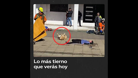 Perrito se vuelve viral tras participar en un simulacro