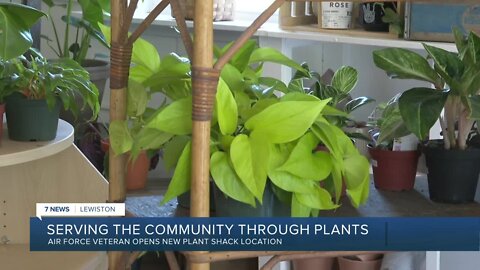 'The Shack that Gives Back': Lewiston botanist offering zen in the form of unique houseplants