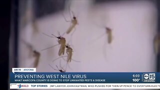 Preventing West Nile virus in the Valley