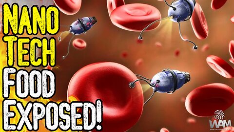 NANOTECH FOOD EXPOSED! - Are You Eating Nanobots? - The Transhumanist Plot To Kill You