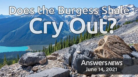 Does the Burgess Shale Cry Out? - Answers News: June 14, 2021