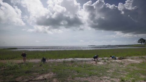 Group tackles sneaky, plastic pollutant harming wildlife