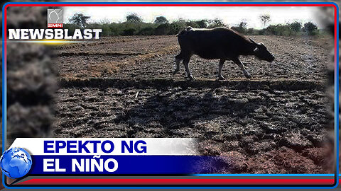 Hakbang ng gobyerno vs. El Niño phenomenon, pinasusuri sa Senado