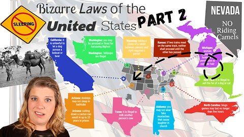 How Every States Craziest Laws Came To Be PART 2 Crazy Stories Behind The Weirdest Laws In the US