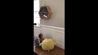 Baby Girl Fascinated By Wall-Mounted Glass Beehive