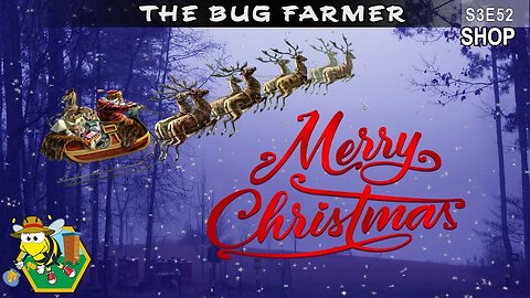 Christmas Wishes - #bugfarmer #beekeeping #insects